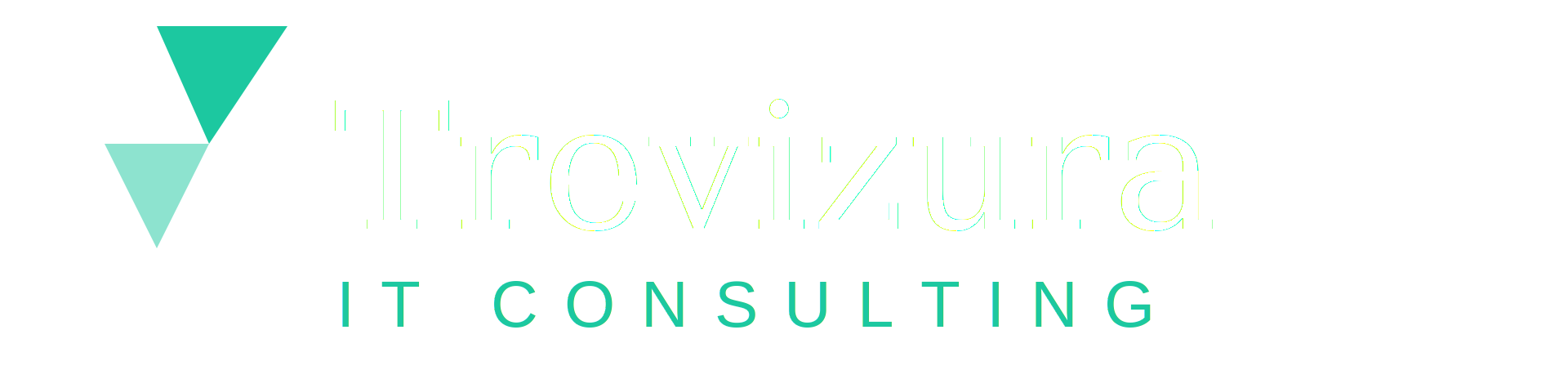 Trevizura IT Consulting